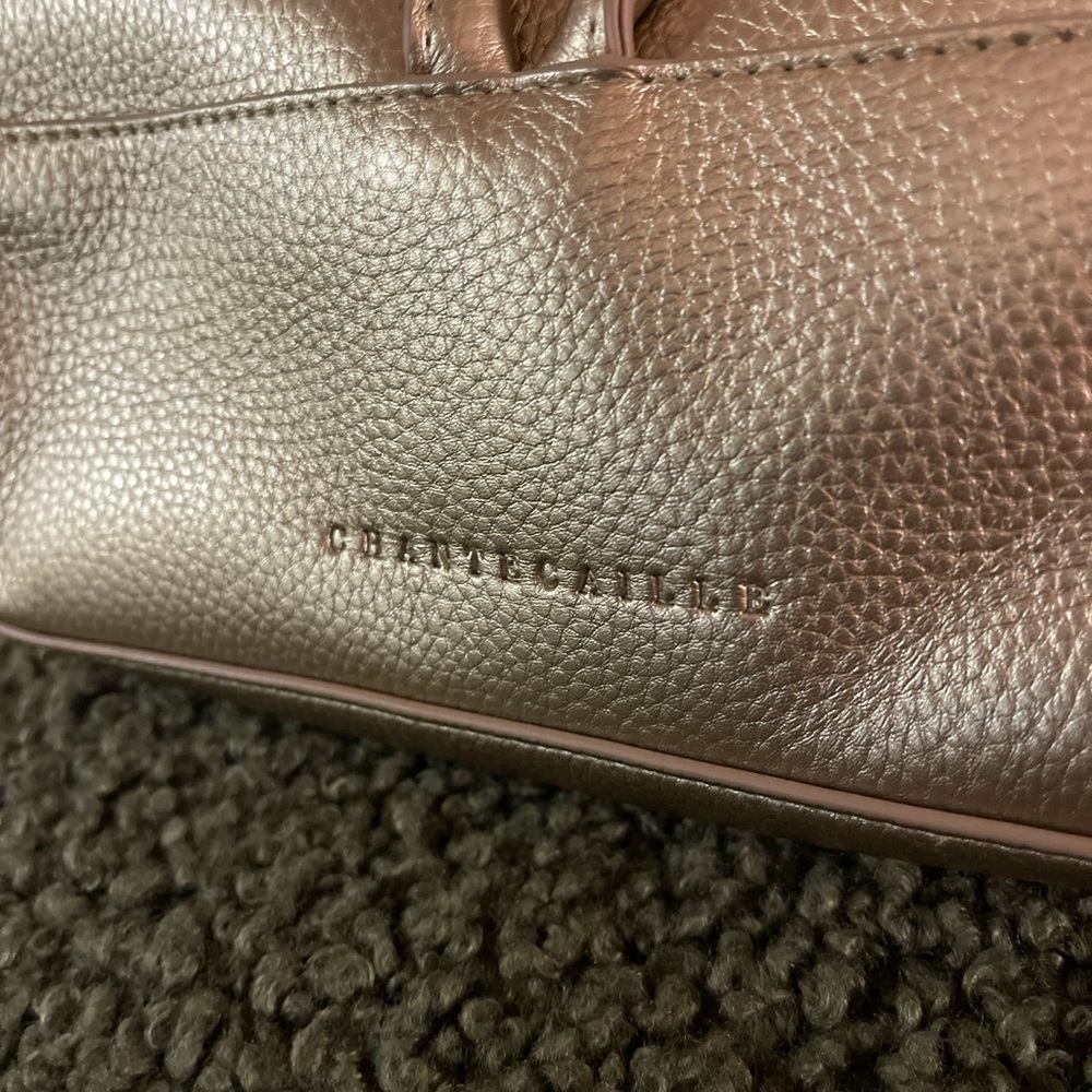 Chantecaille Gold Leather clutch unique elegant date night small summer purses - Picture 5 of 5